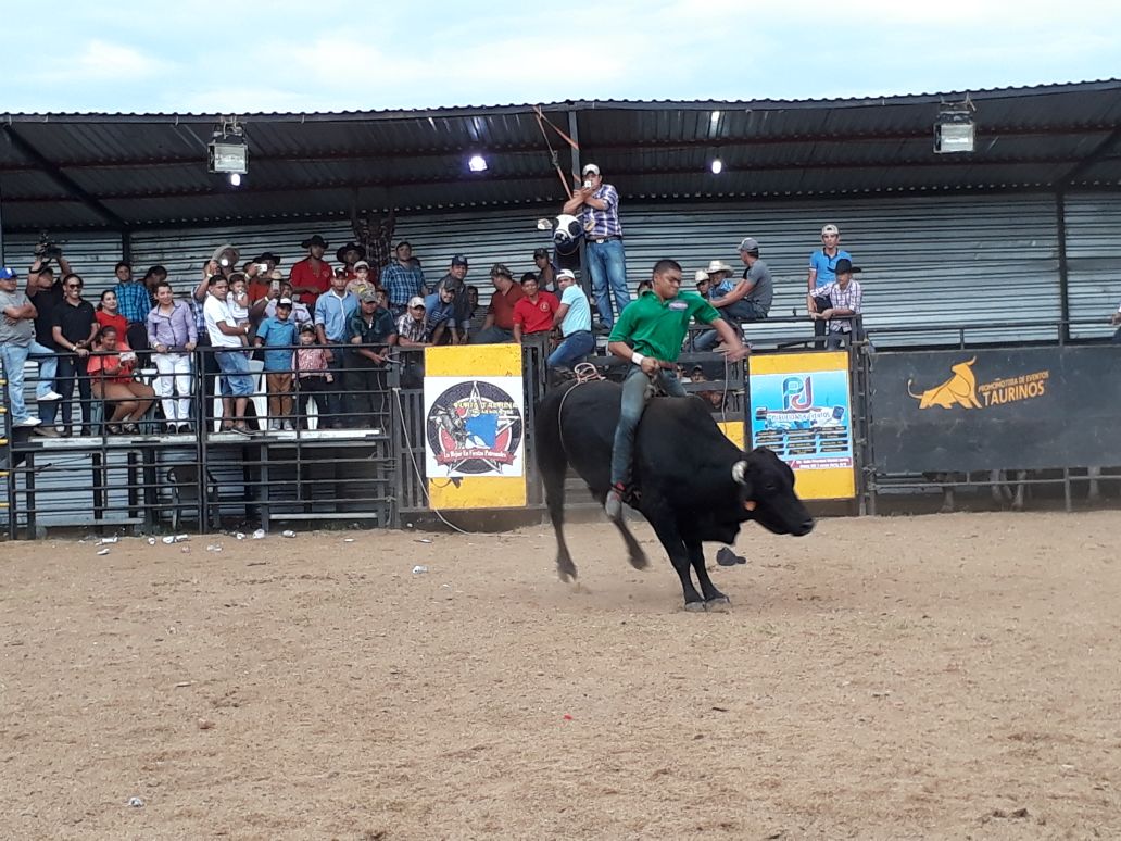TOROS1